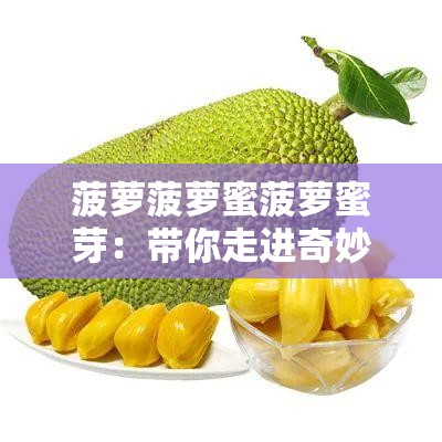 菠萝菠萝蜜菠萝蜜芽：带你走进奇妙的水果世界之旅