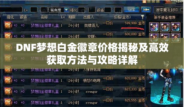 DNF梦想白金徽章价格揭秘及高效获取方法与攻略详解