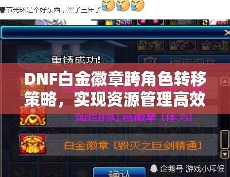 DNF白金徽章跨角色转移策略，实现资源管理高效利用并避免浪费