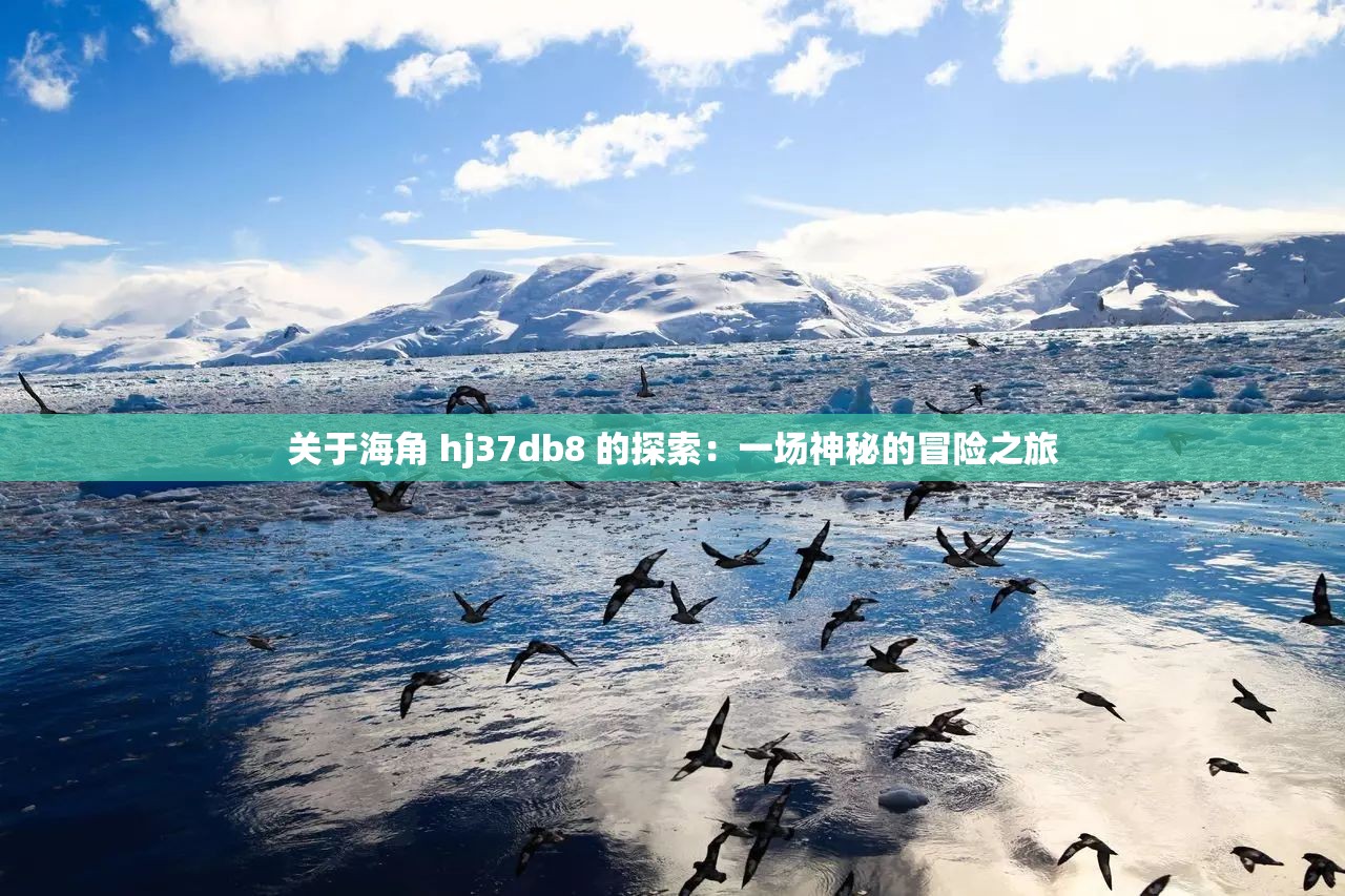 关于海角 hj37db8 的探索：一场神秘的冒险之旅
