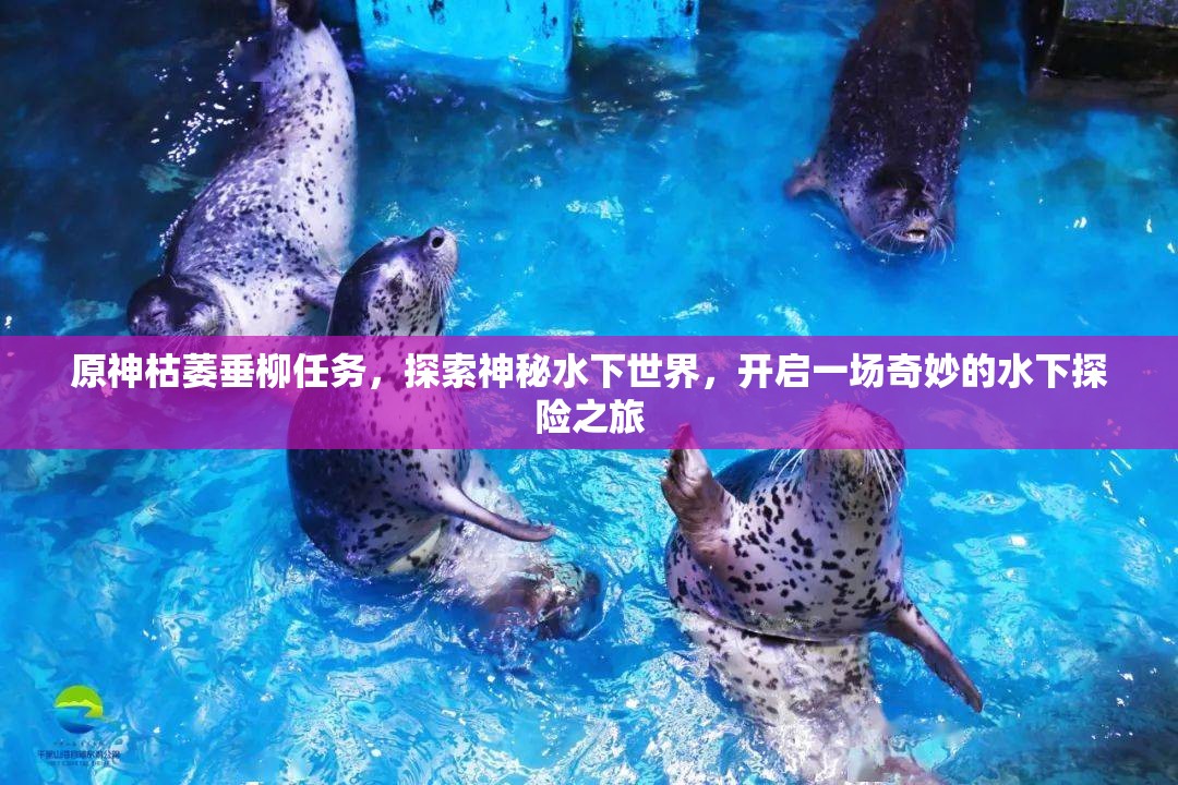 原神枯萎垂柳任务，探索神秘水下世界，开启一场奇妙的水下探险之旅