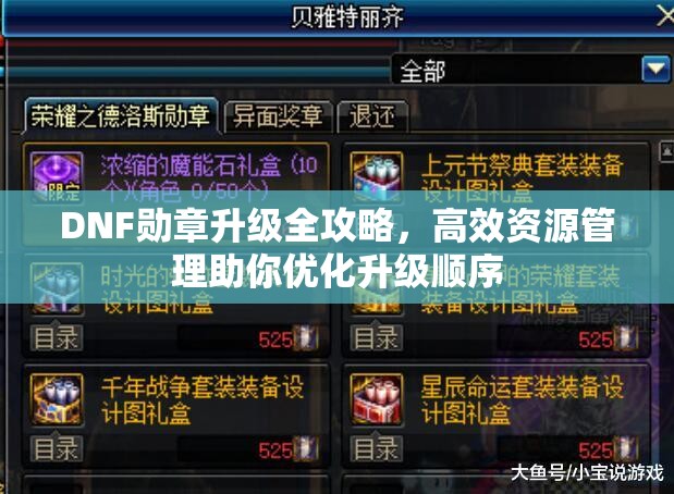 DNF勋章升级全攻略，高效资源管理助你优化升级顺序