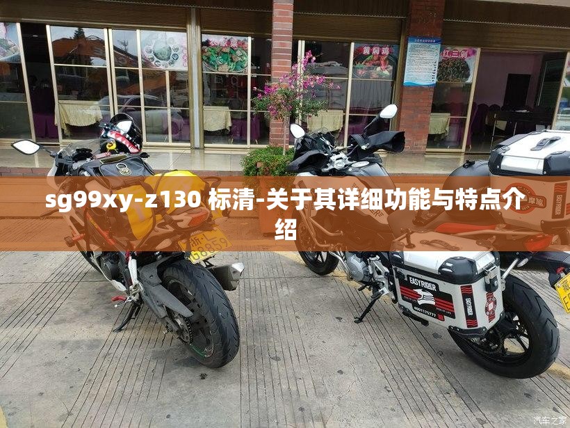 sg99xy-z130 标清-关于其详细功能与特点介绍