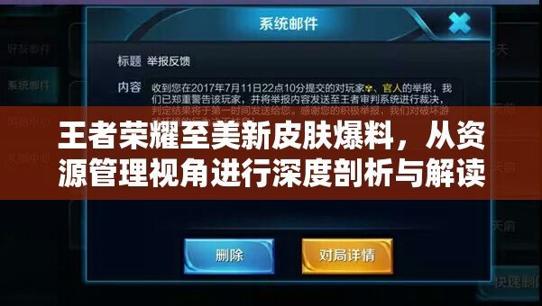 王者荣耀至美新皮肤爆料，从资源管理视角进行深度剖析与解读