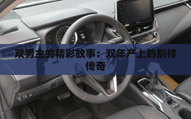 双男主的精彩故事：双年产上的别样传奇