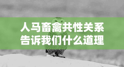 人马畜禽共性关系告诉我们什么道理：对人与自然和谐相处的思考