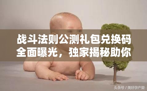 战斗法则公测礼包兑换码全面曝光，独家揭秘助你快速提升战力！