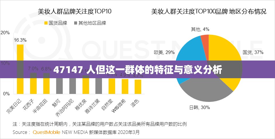 47147 人但这一群体的特征与意义分析