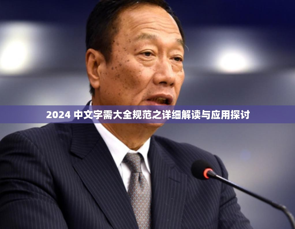 2024 中文字需大全规范之详细解读与应用探讨