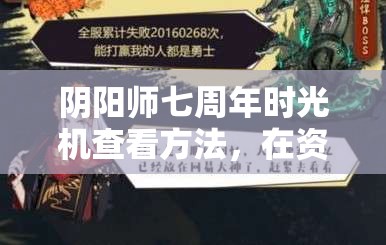 阴阳师七周年时光机查看方法，在资源管理中提升效率与重要性的深度解析