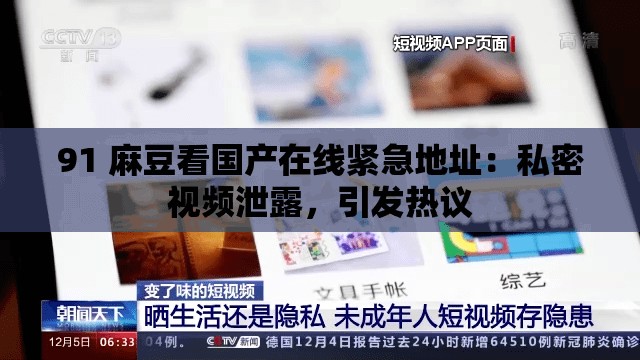 91 麻豆看国产在线紧急地址：私密视频泄露，引发热议