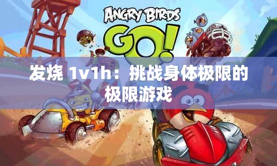 发烧 1v1h：挑战身体极限的极限游戏