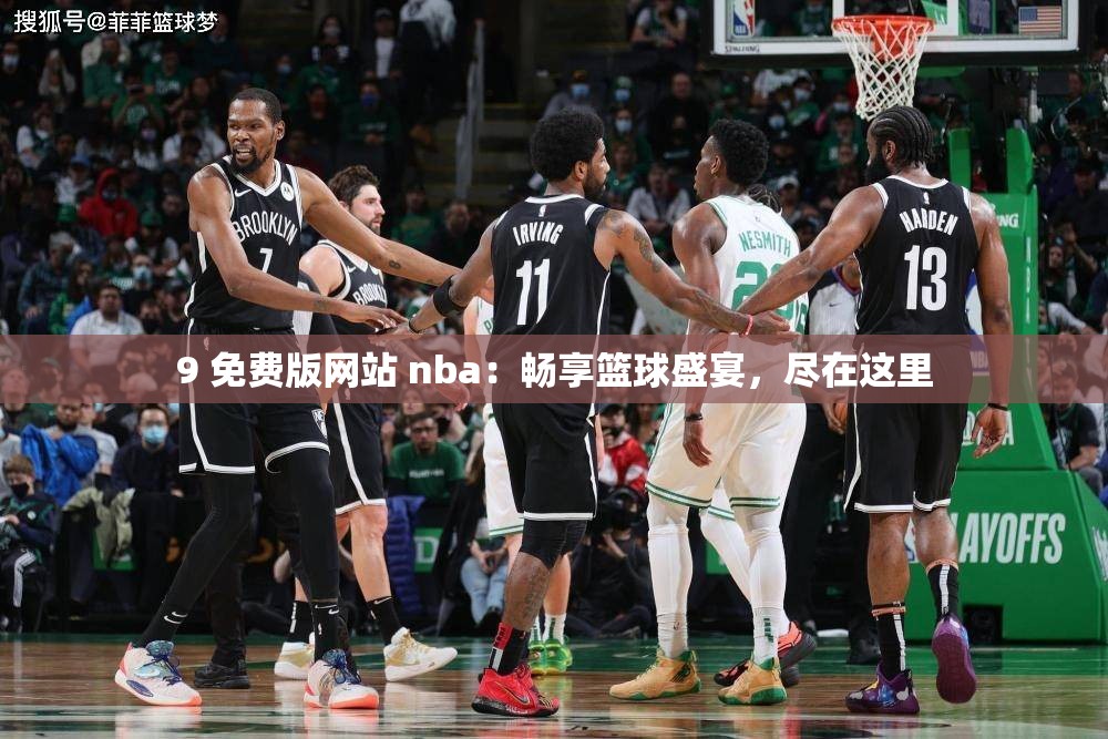 9 免费版网站 nba：畅享篮球盛宴，尽在这里