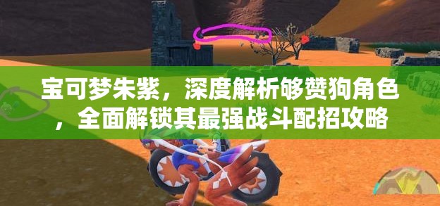 宝可梦朱紫，深度解析够赞狗角色，全面解锁其最强战斗配招攻略