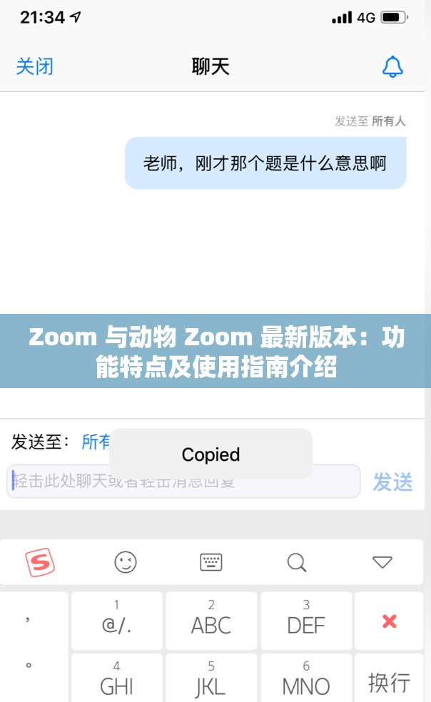 Zoom 与动物 Zoom 最新版本：功能特点及使用指南介绍