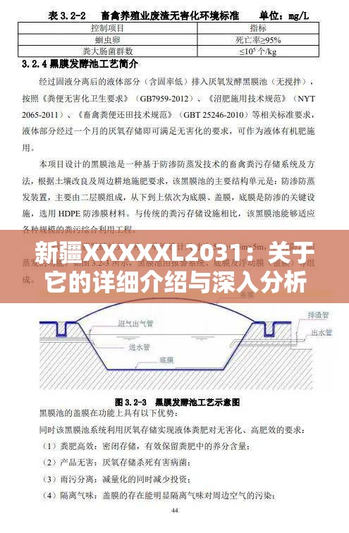 新疆XXXXXL2031：关于它的详细介绍与深入分析