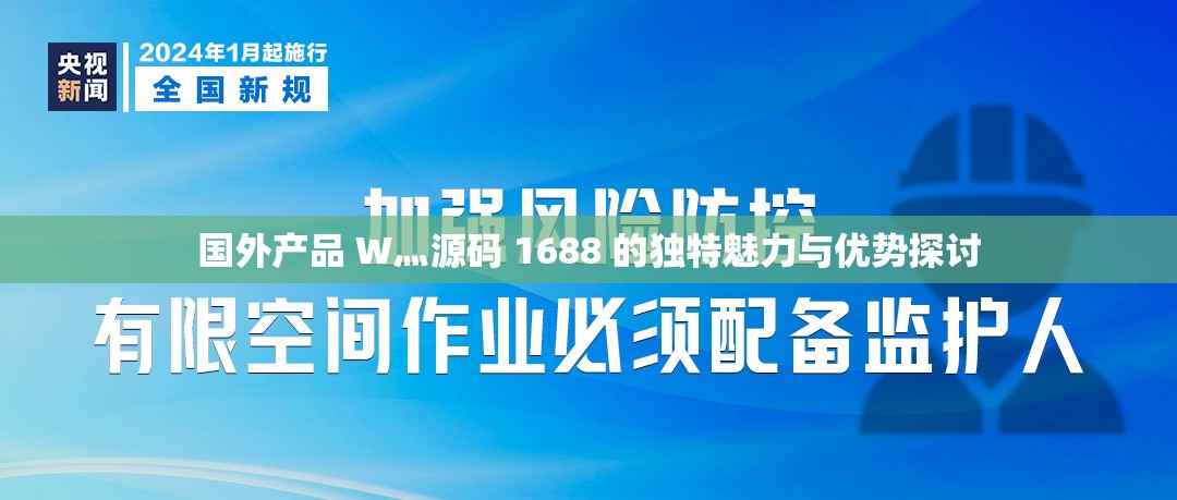 国外产品 W灬源码 1688 的独特魅力与优势探讨