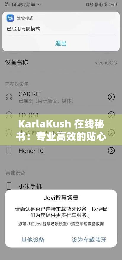 KarlaKush 在线秘书：专业高效的贴心服务助手