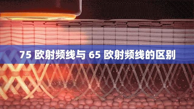 75 欧射频线与 65 欧射频线的区别