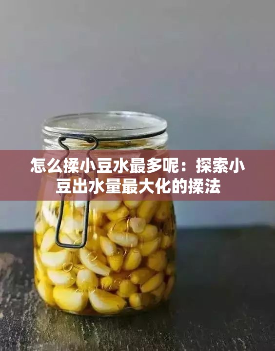 怎么揉小豆水最多呢：探索小豆出水量最大化的揉法