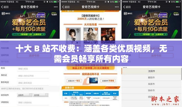 十大 B 站不收费：涵盖各类优质视频，无需会员畅享所有内容