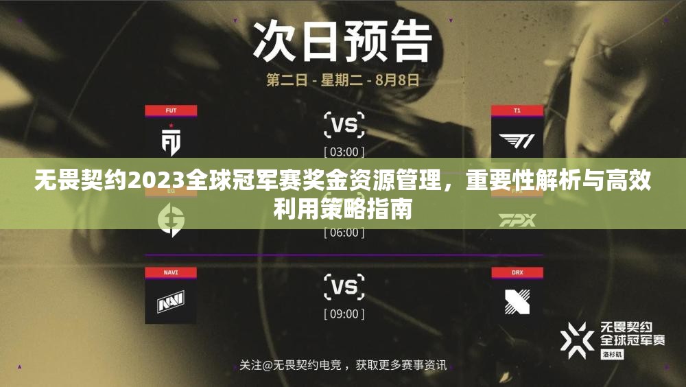 无畏契约2023全球冠军赛奖金资源管理，重要性解析与高效利用策略指南