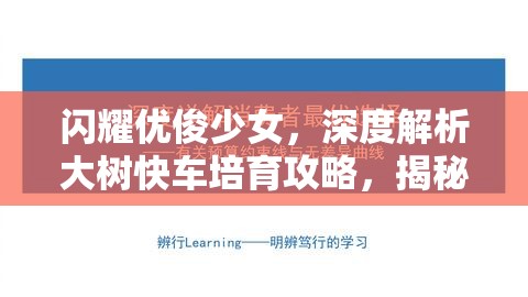 闪耀优俊少女，深度解析大树快车培育攻略，揭秘资源管理的高效艺术