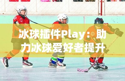 冰球插件Play：助力冰球爱好者提升竞技水平的利器