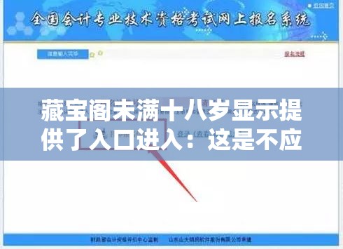 藏宝阁未满十八岁显示提供了入口进入：这是不应该出现的情况
