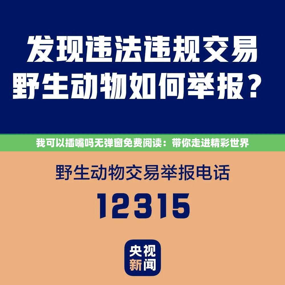 我可以插嘴吗无弹窗免费阅读：带你走进精彩世界