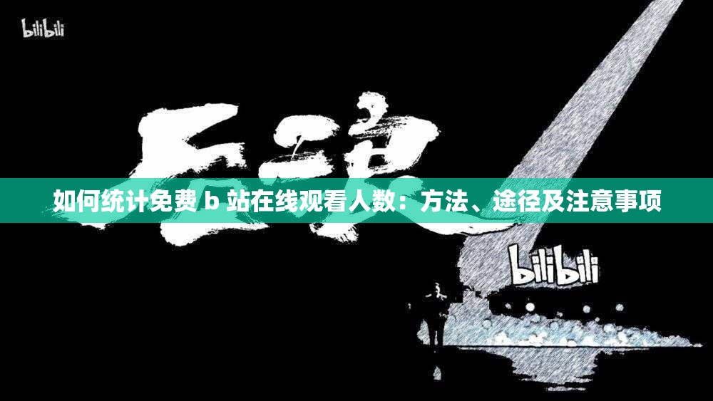 如何统计免费 b 站在线观看人数：方法、途径及注意事项