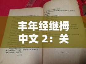 丰年经继拇中文 2：关于其深入研究与详细解读