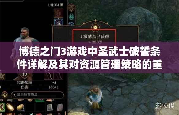 博德之门3游戏中圣武士破誓条件详解及其对资源管理策略的重要性