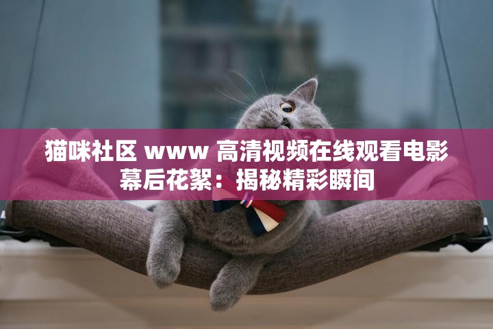 猫咪社区 www 高清视频在线观看电影幕后花絮：揭秘精彩瞬间