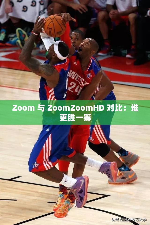 Zoom 与 ZoomZoomHD 对比：谁更胜一筹