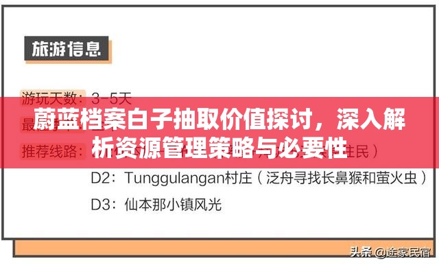 蔚蓝档案白子抽取价值探讨，深入解析资源管理策略与必要性