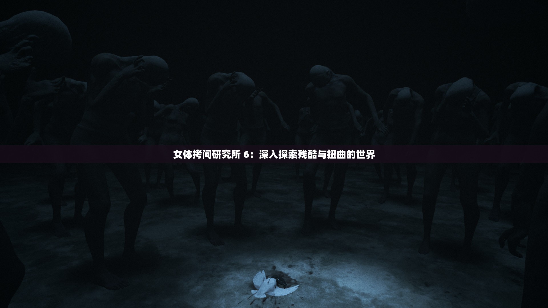 女体拷问研究所 6：深入探索残酷与扭曲的世界