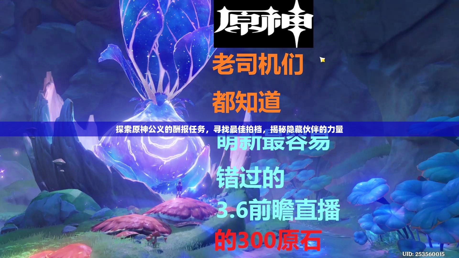 探索原神公义的酬报任务，寻找最佳拍档，揭秘隐藏伙伴的力量