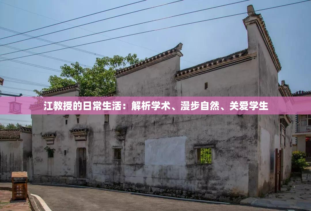 江教授的日常生活：解析学术、漫步自然、关爱学生
