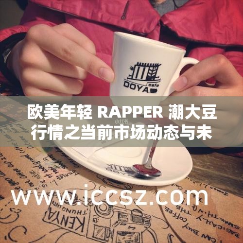 欧美年轻 RAPPER 潮大豆行情之当前市场动态与未来趋势分析
