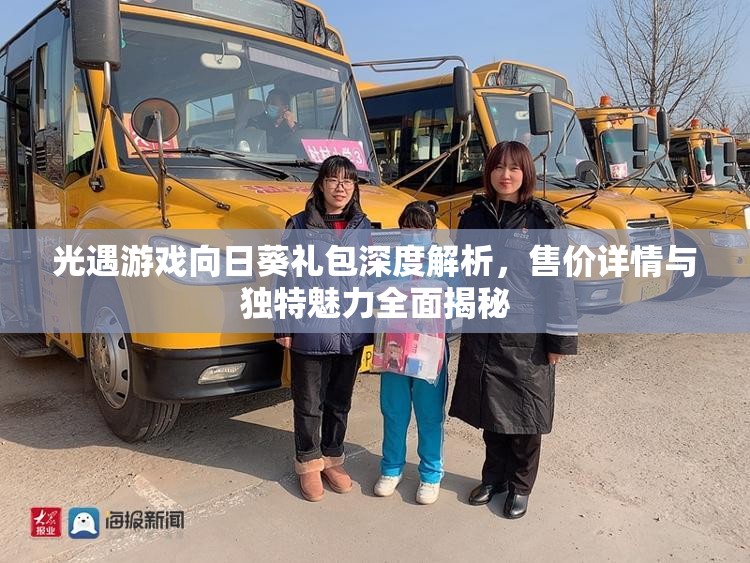 光遇游戏向日葵礼包深度解析，售价详情与独特魅力全面揭秘