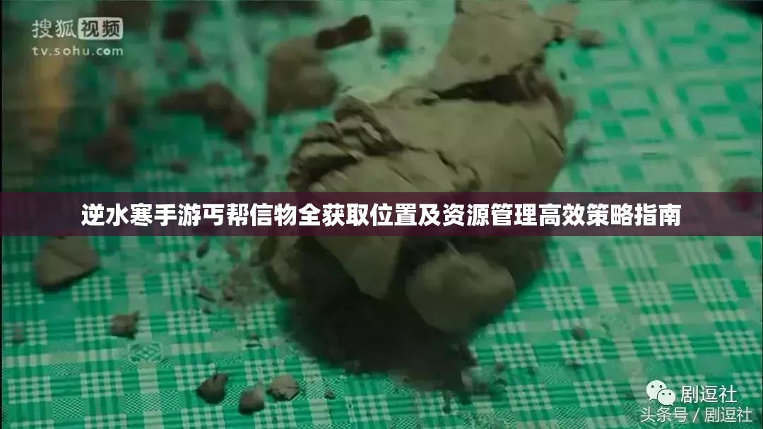 逆水寒手游丐帮信物全获取位置及资源管理高效策略指南