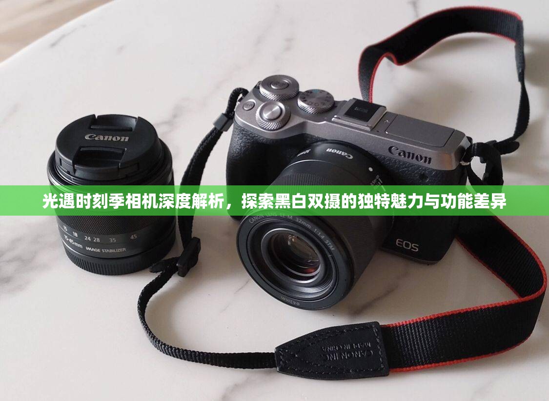 光遇时刻季相机深度解析，探索黑白双摄的独特魅力与功能差异