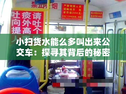 小扫货水能么多叫出来公交车：探寻其背后的秘密与意义