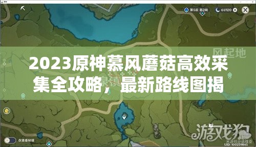 2023原神慕风蘑菇高效采集全攻略，最新路线图揭秘与采集技巧