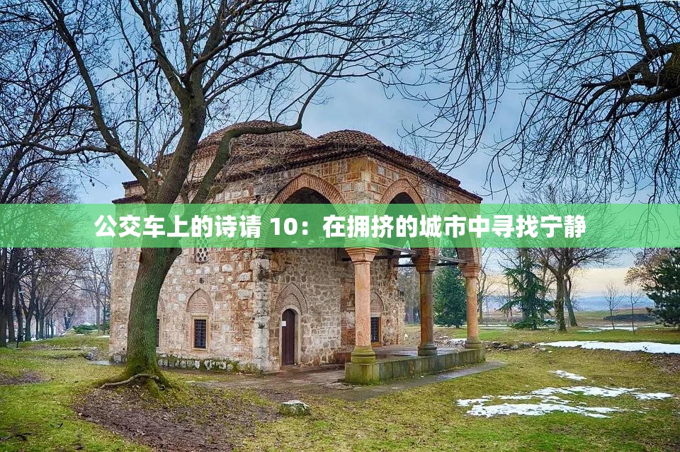 公交车上的诗请 10：在拥挤的城市中寻找宁静