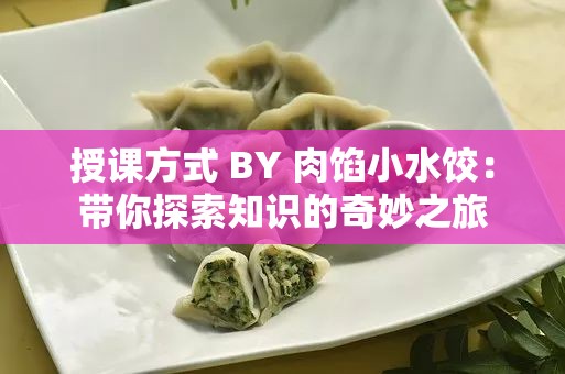 授课方式 BY 肉馅小水饺：带你探索知识的奇妙之旅