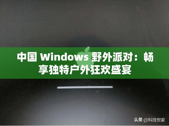 中国 Windows 野外派对：畅享独特户外狂欢盛宴