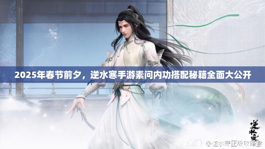 2025年春节前夕，逆水寒手游素问内功搭配秘籍全面大公开
