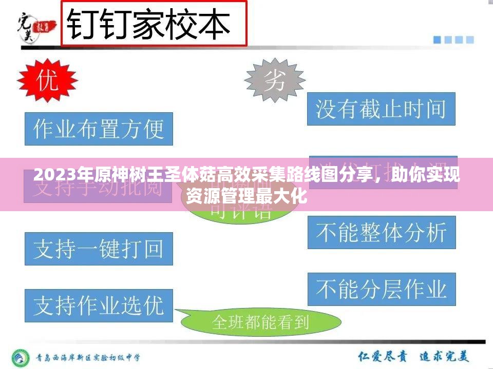 2023年原神树王圣体菇高效采集路线图分享，助你实现资源管理最大化